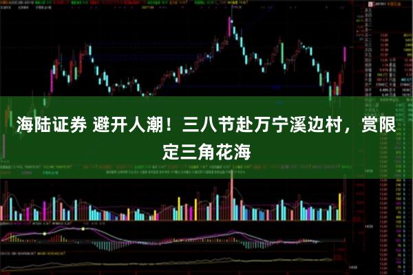 海陆证券 避开人潮！三八节赴万宁溪边村，赏限定三角花海