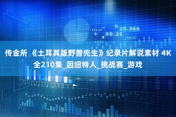 传金所 《土耳其版野兽先生》纪录片解说素材 4K全210集_因纽特人_挑战赛_游戏