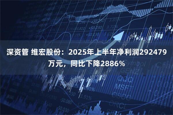 深资管 维宏股份：2025年上半年净利润292479万元，同比下降2886%