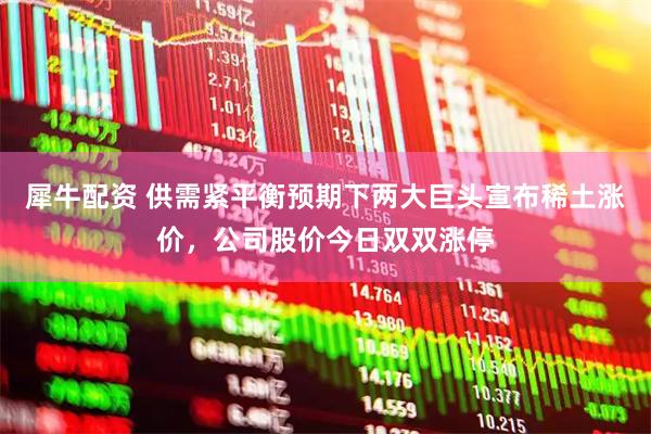 犀牛配资 供需紧平衡预期下两大巨头宣布稀土涨价，公司股价今日双双涨停