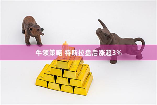 牛领策略 特斯拉盘后涨超3%