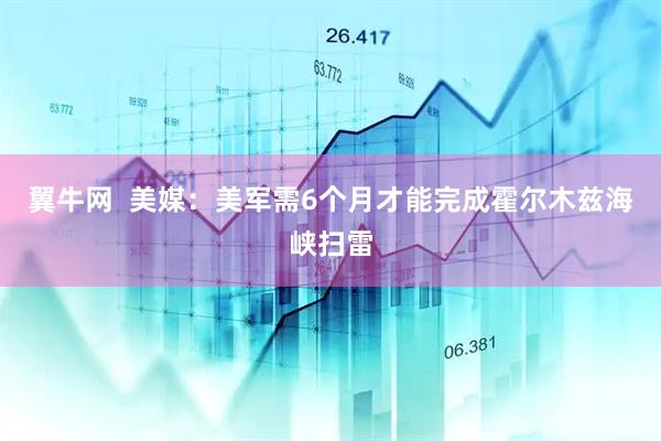 翼牛网  美媒：美军需6个月才能完成霍尔木兹海峡扫雷